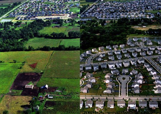 Before and After: the same land as a farm and a suburban subdivision. Image 2014 © Scott Strazzante, from Common Ground, PSG Books